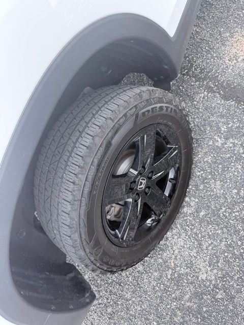 2023 Honda Ridgeline Black Edition Kerrville TX