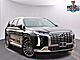 2023 Hyundai Palisade Calligraphy Oshkosh WI