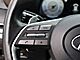 2023 Hyundai Palisade Calligraphy Oshkosh WI