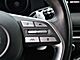 2023 Hyundai Palisade Calligraphy Oshkosh WI