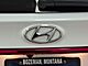 2023 Hyundai Santa Fe Calligraphy Bozeman MT