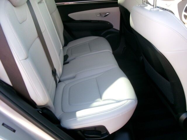 2023 Hyundai Tucson Limited Apache Junction AZ