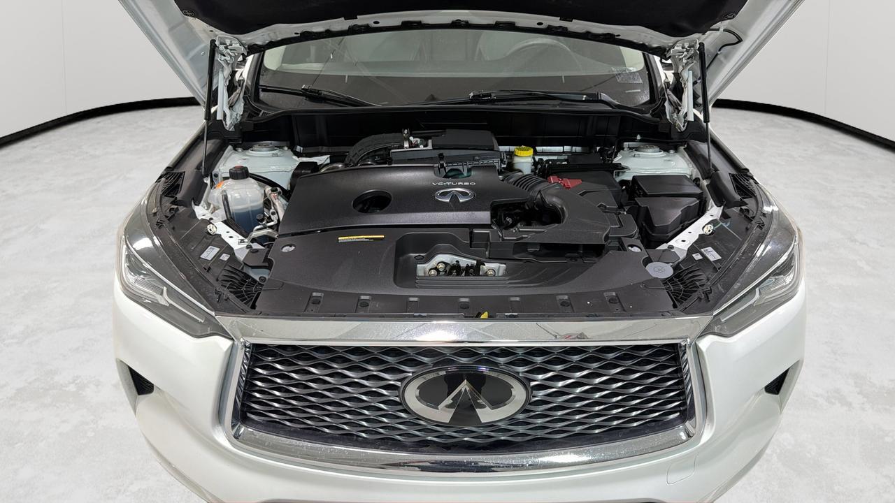 2023 INFINITI QX50 LUXE San Antonio TX