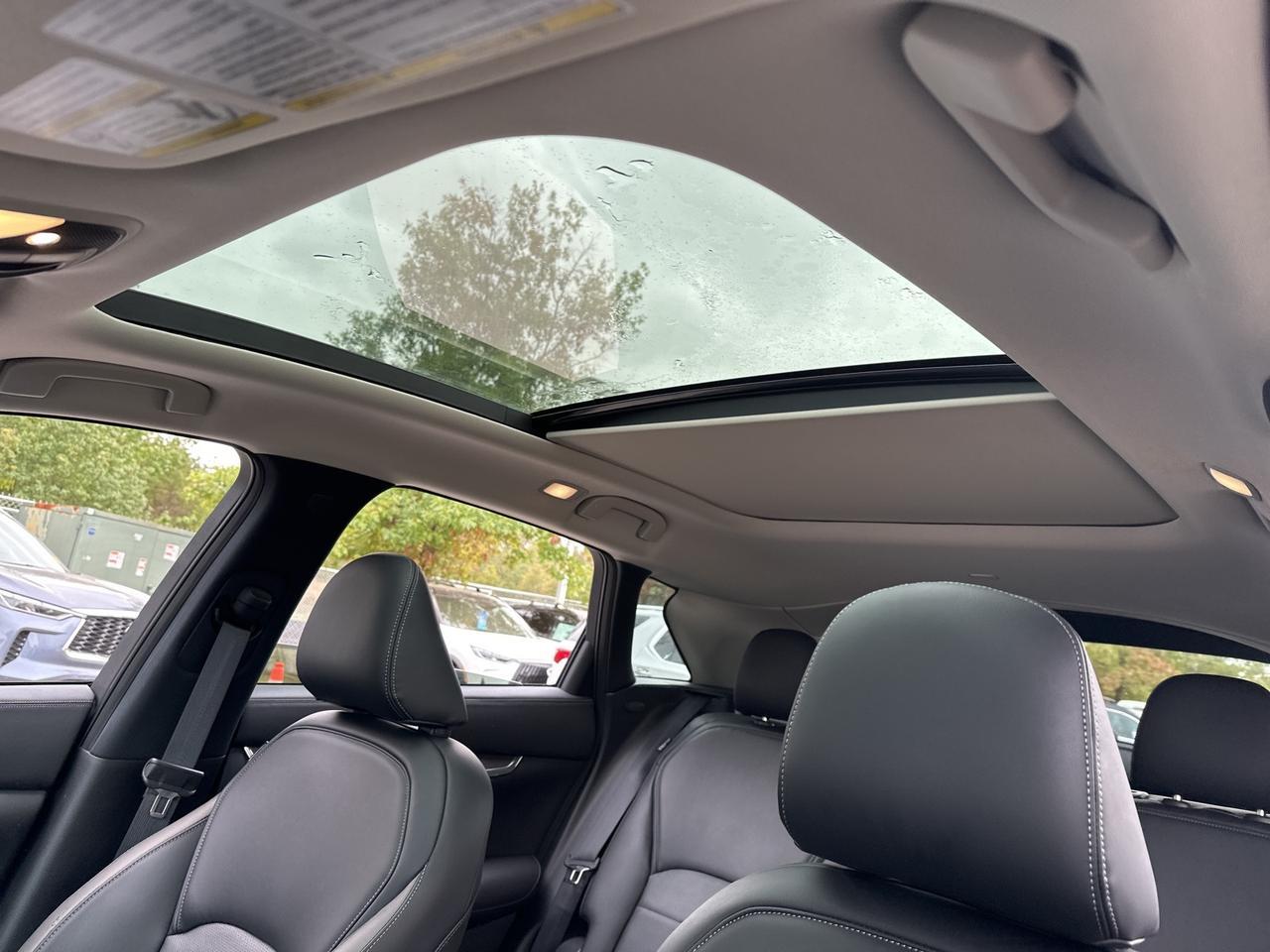2023 INFINITI QX50 LUXE Chantilly VA