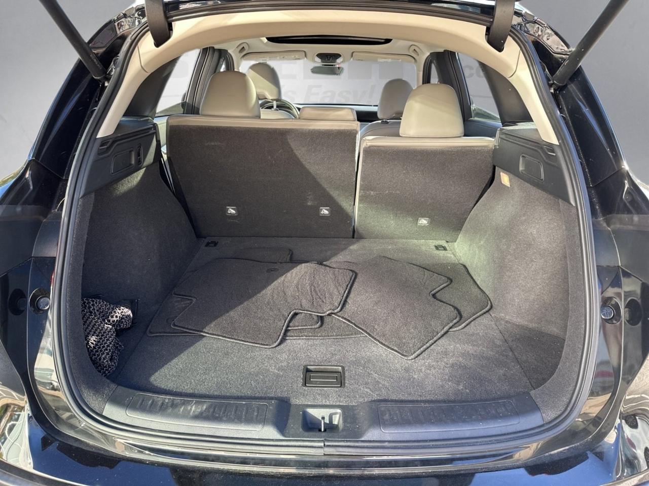 2023 INFINITI QX50 LUXE Chantilly VA