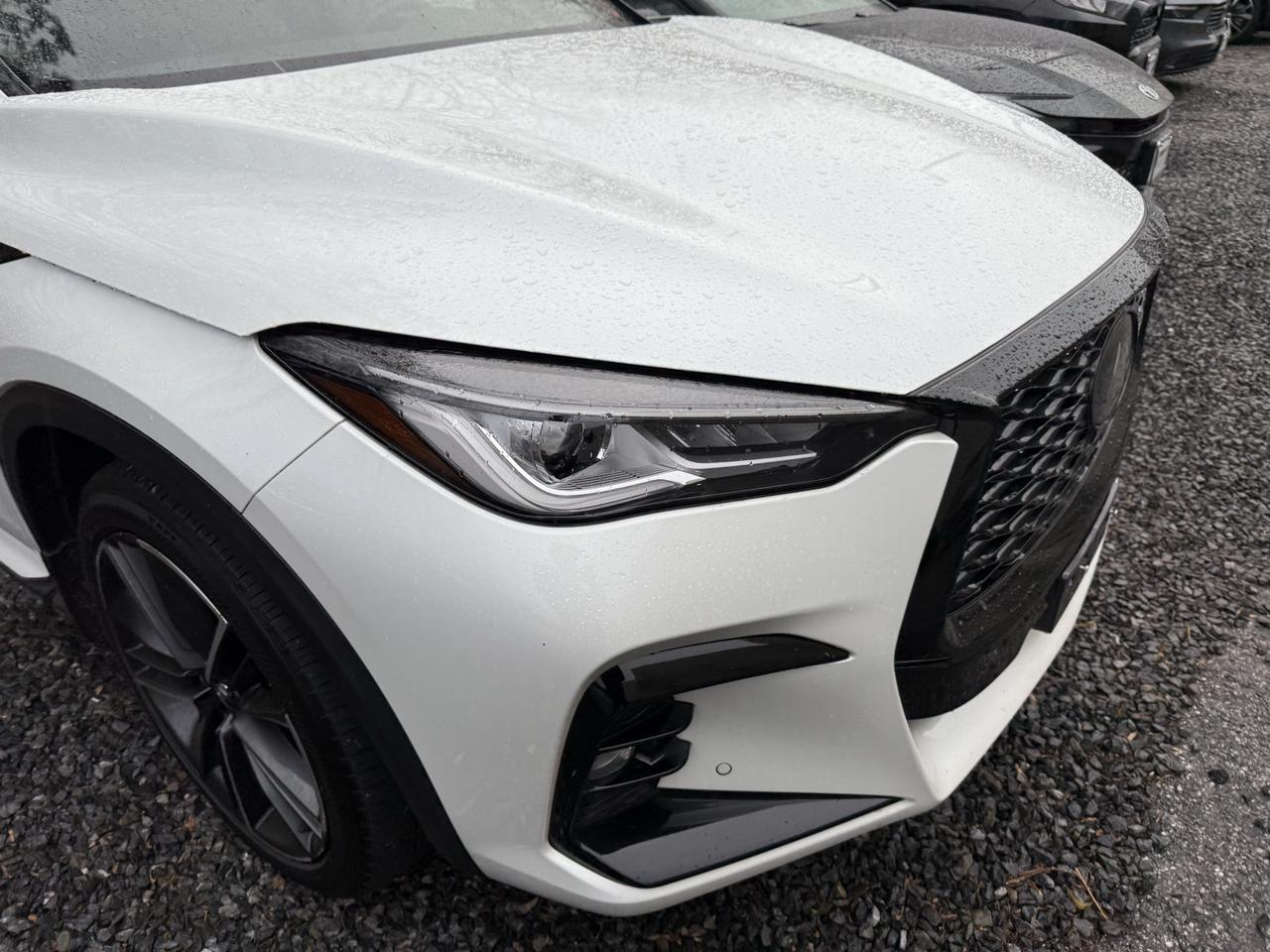 2023 INFINITI QX50 SPORT Annapolis MD