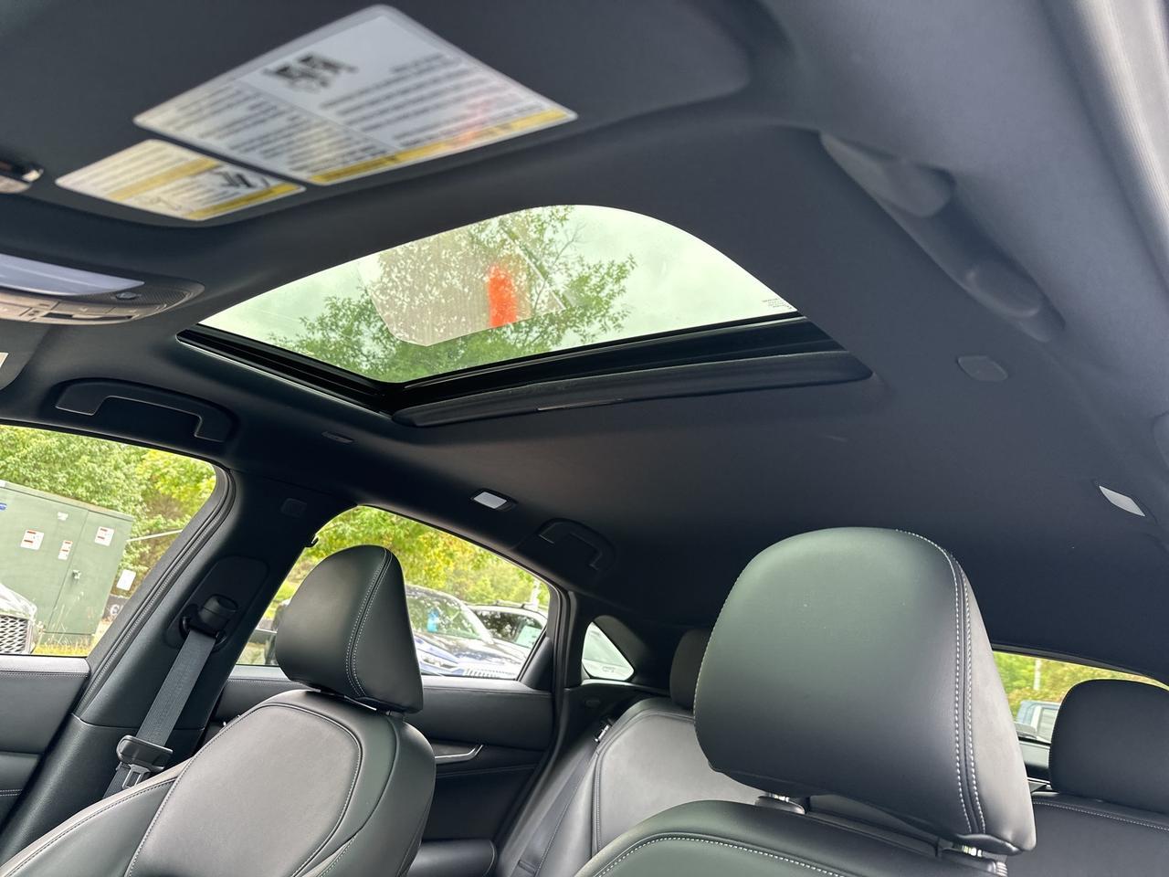 2023 INFINITI QX55 LUXE Chantilly VA