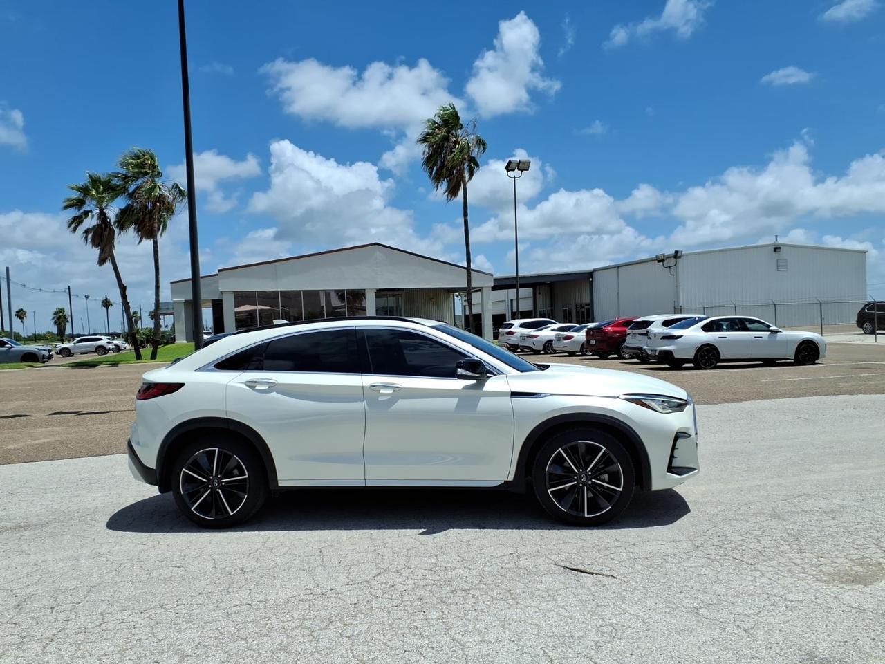 2023 INFINITI QX55 Luxe Brownsville TX