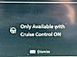 2023 INFINITI QX60 LUXE Worcester MA