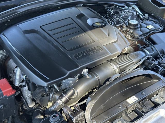 2023 Jaguar F-PACE P250 S Tucson AZ