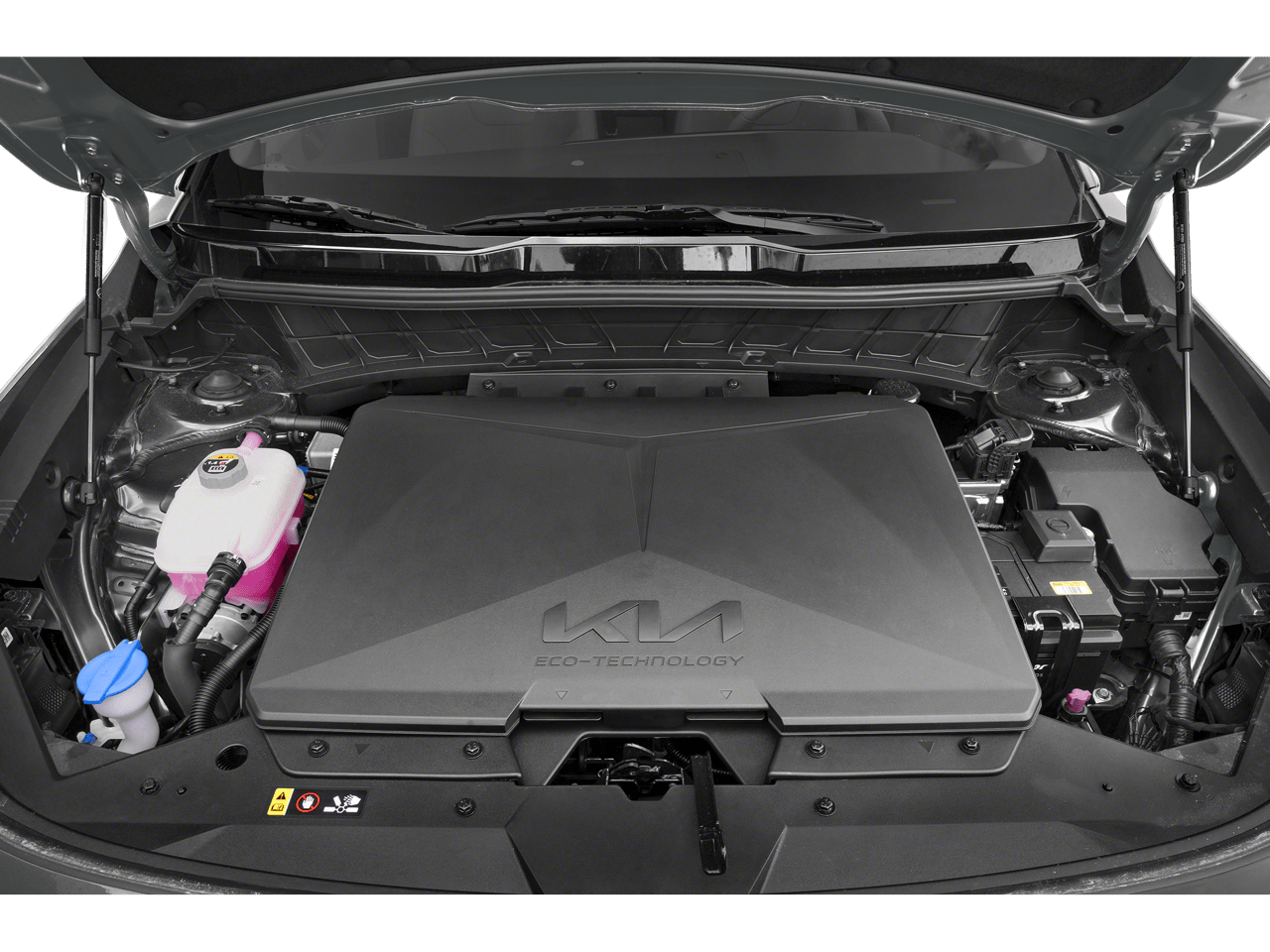 2023 Kia NIRO EV WIND Roseville CA