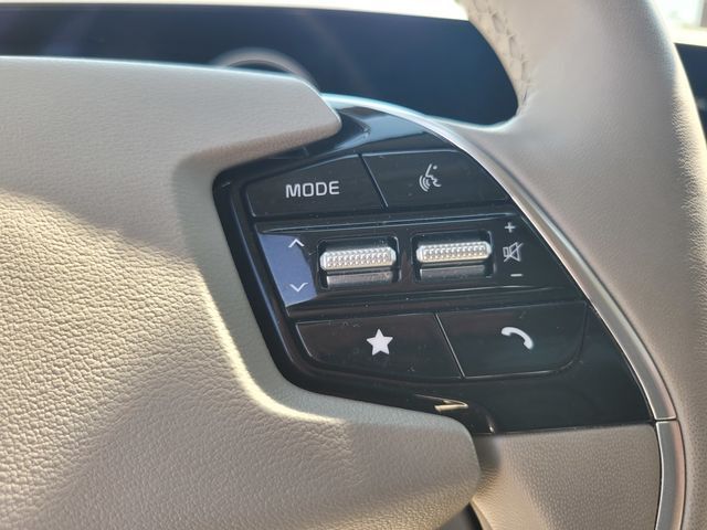 2023 Kia Niro EV Wave Folsom CA