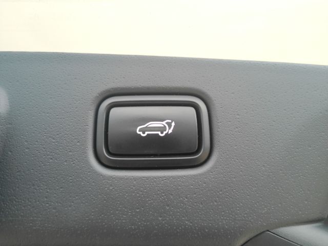 2023 Kia Niro EV Wave Plano TX