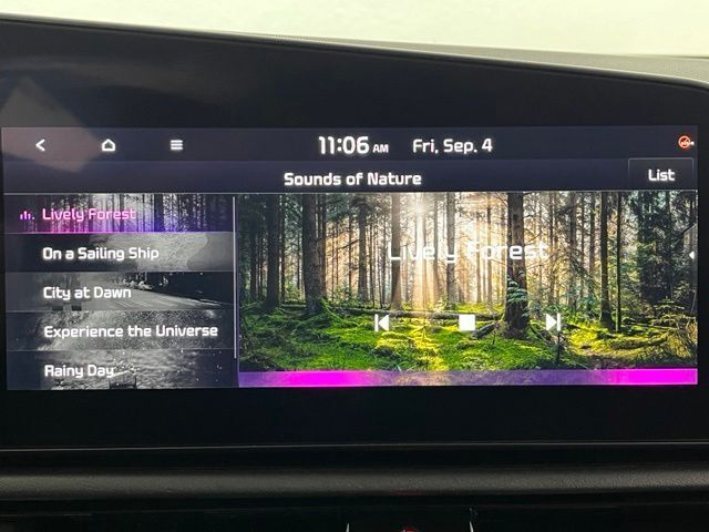 2023 Kia Niro EV Wind Carrollton TX