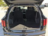 2023 Kia Sorento SX Oshkosh WI