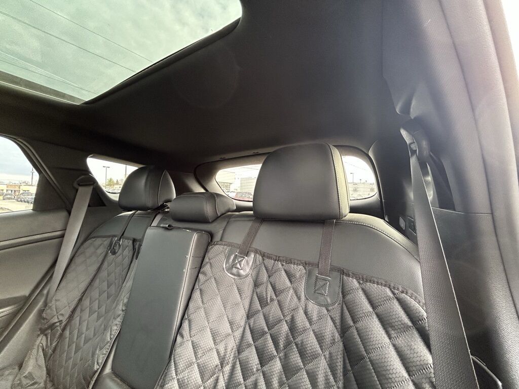 2023 Kia Sportage X-Line Crestwood KY