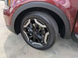 2023 Kia Telluride EX Oshkosh WI