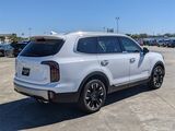 2023 Kia Telluride SX Oshkosh WI