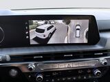 2023 Kia Telluride SX-Prestige Oshkosh WI