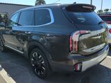 2023 Kia Telluride SX-Prestige Oshkosh WI