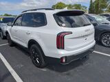 2023 Kia Telluride SX-Prestige X-Pro Oshkosh WI