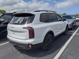 2023 Kia Telluride SX-Prestige X-Pro Oshkosh WI