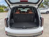 2023 Kia Telluride SX X-Pro Oshkosh WI