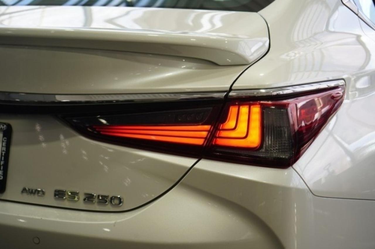 2023 Lexus ES 250 Yonkers NY