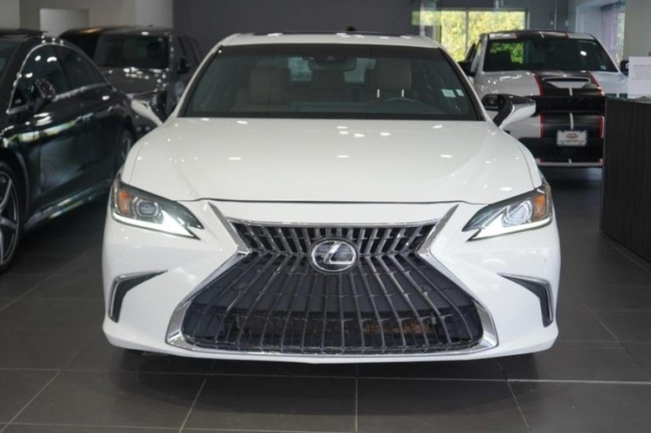 2023 Lexus ES 250 Yonkers NY