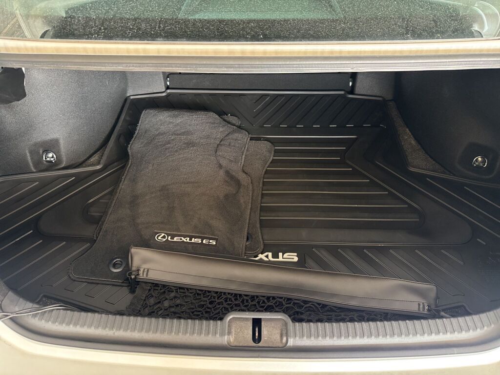 2023 Lexus ES 250 Richmond VA