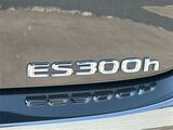 2023 Lexus ES 300h San Diego County CA