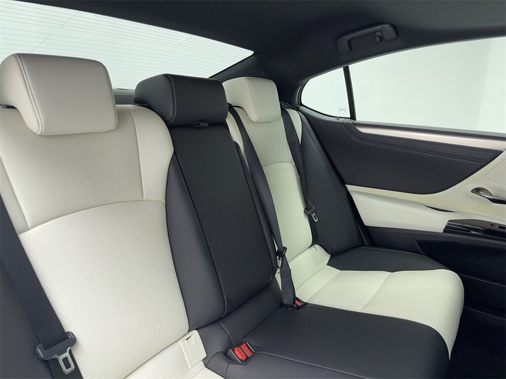 2023 Lexus ES 350 F Sport CAM,SUNROOF,CLMT STS,BLIND SPOT,19&quot; WL Plano TX