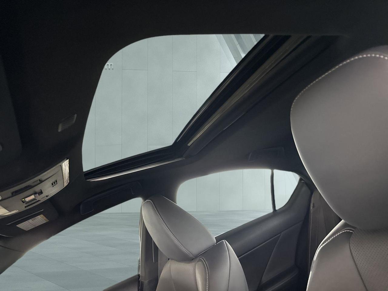 2023 Lexus IS 350 F SPORT San Antonio TX