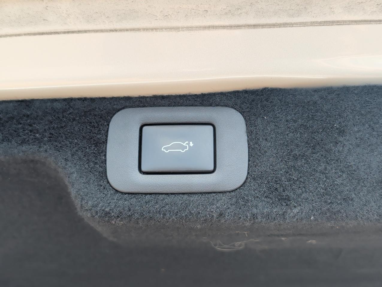 2023 Lexus LS 500 San Juan TX