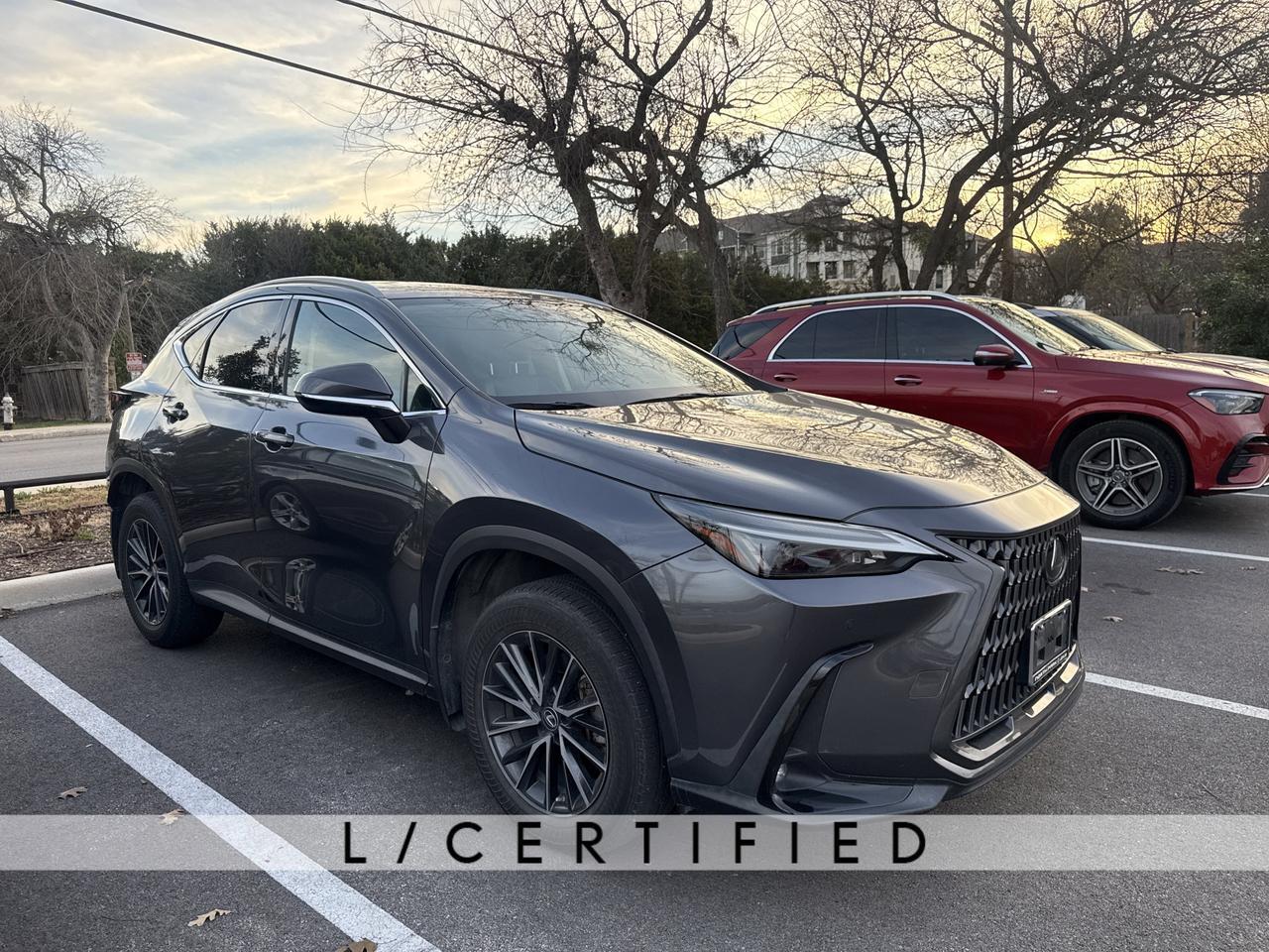 2023 Lexus NX 250 Premium