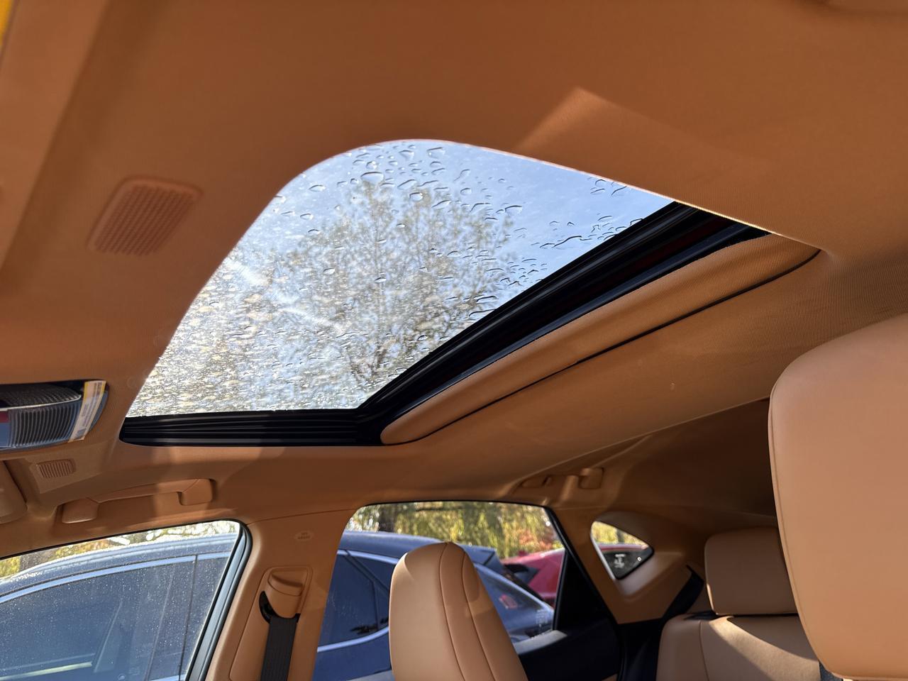 2023 Lexus NX 250 Premium San Antonio TX