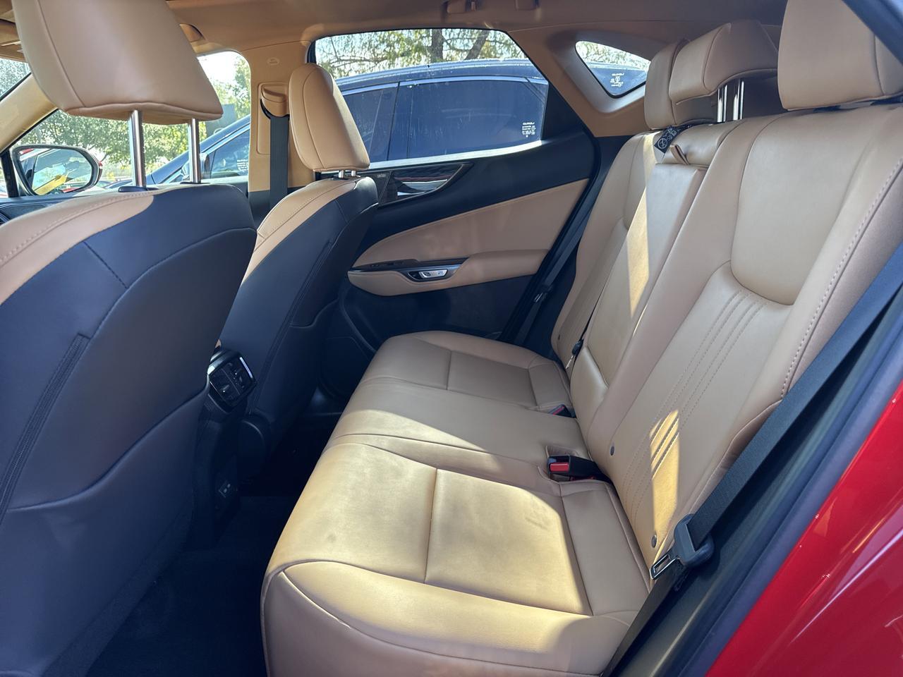 2023 Lexus NX 250 Premium San Antonio TX