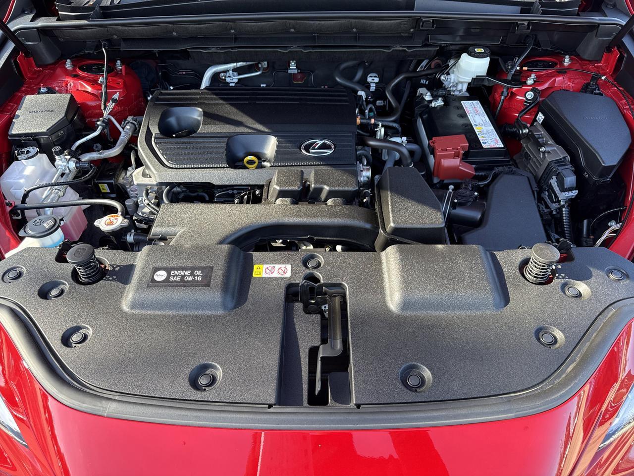 2023 Lexus NX 250 Premium San Antonio TX