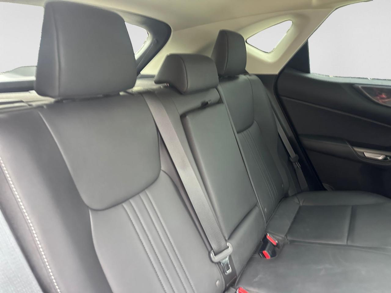 2023 Lexus NX 250 Premium  Selma TX