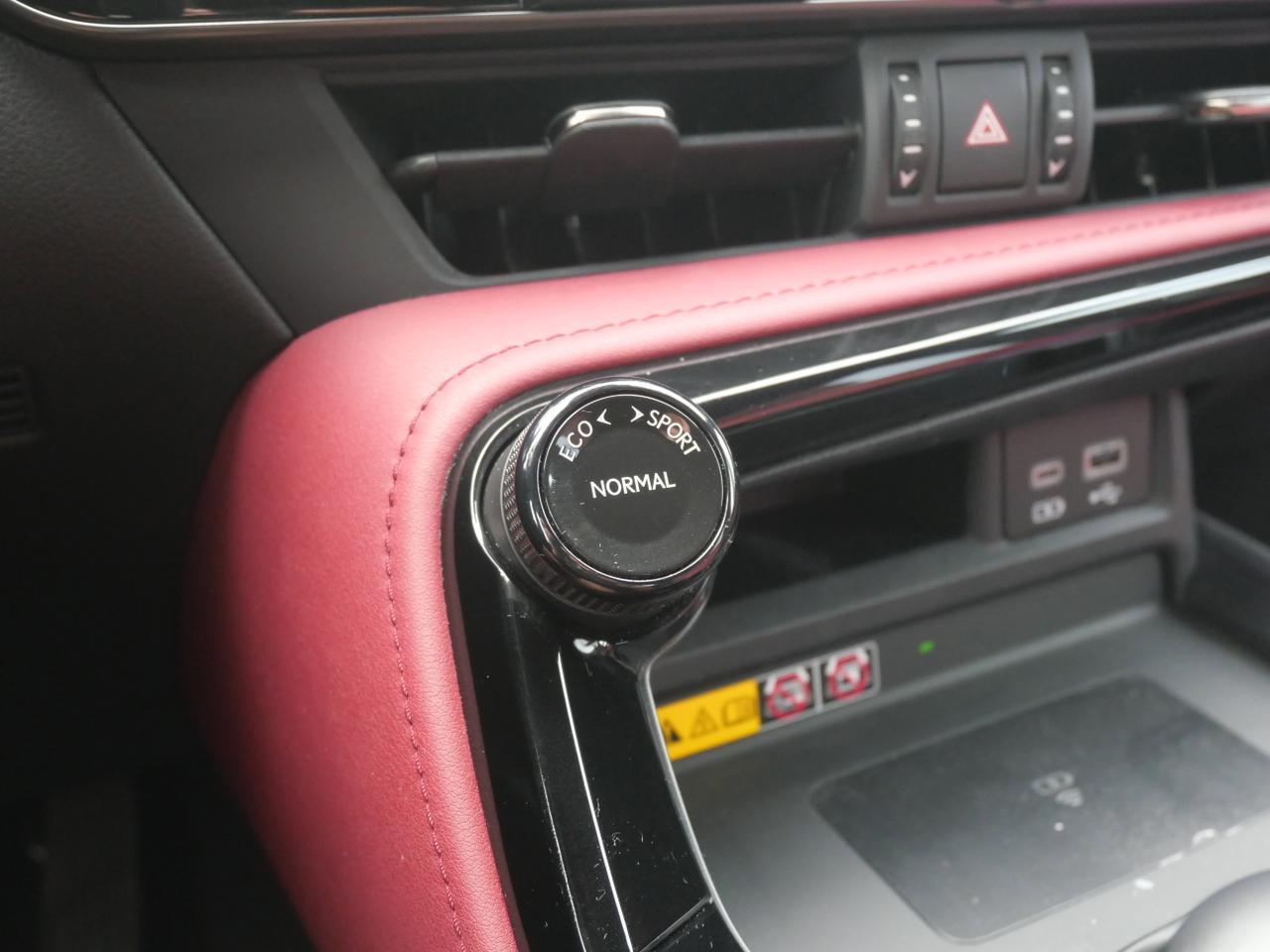 2023 Lexus NX 250 Premium San Juan TX