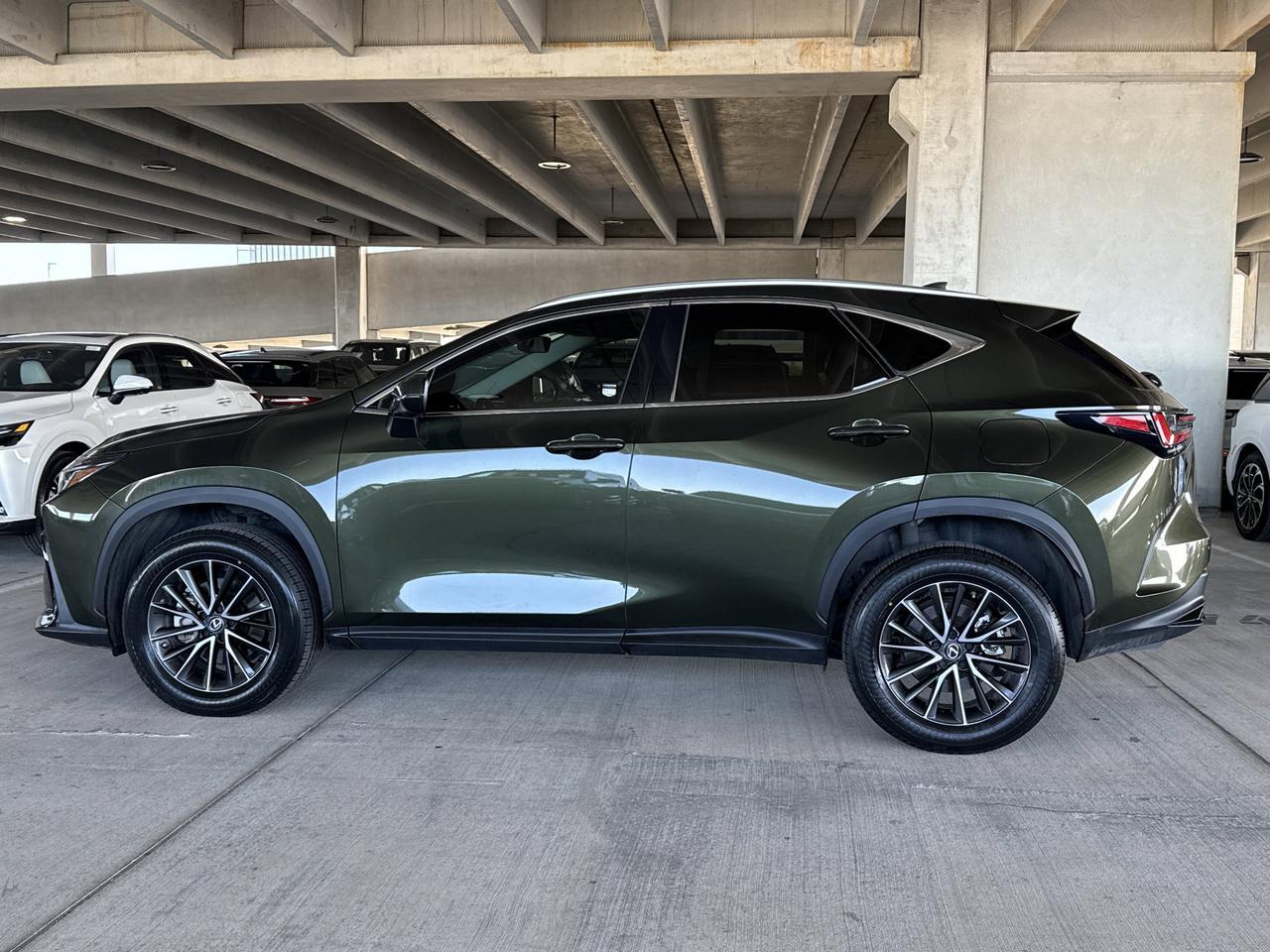2023 Lexus NX