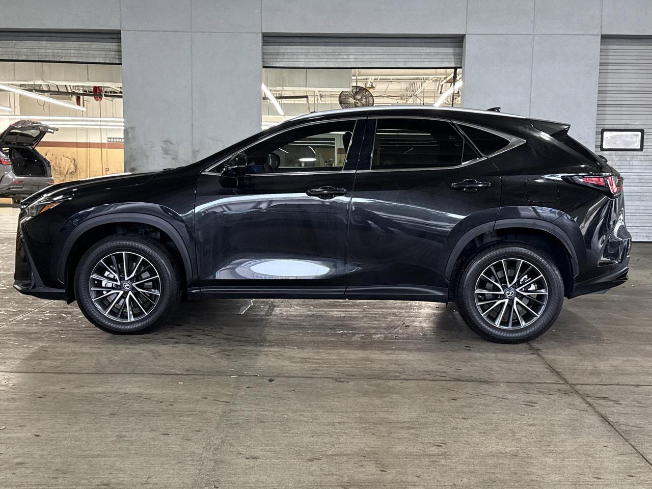 2023 Lexus NX