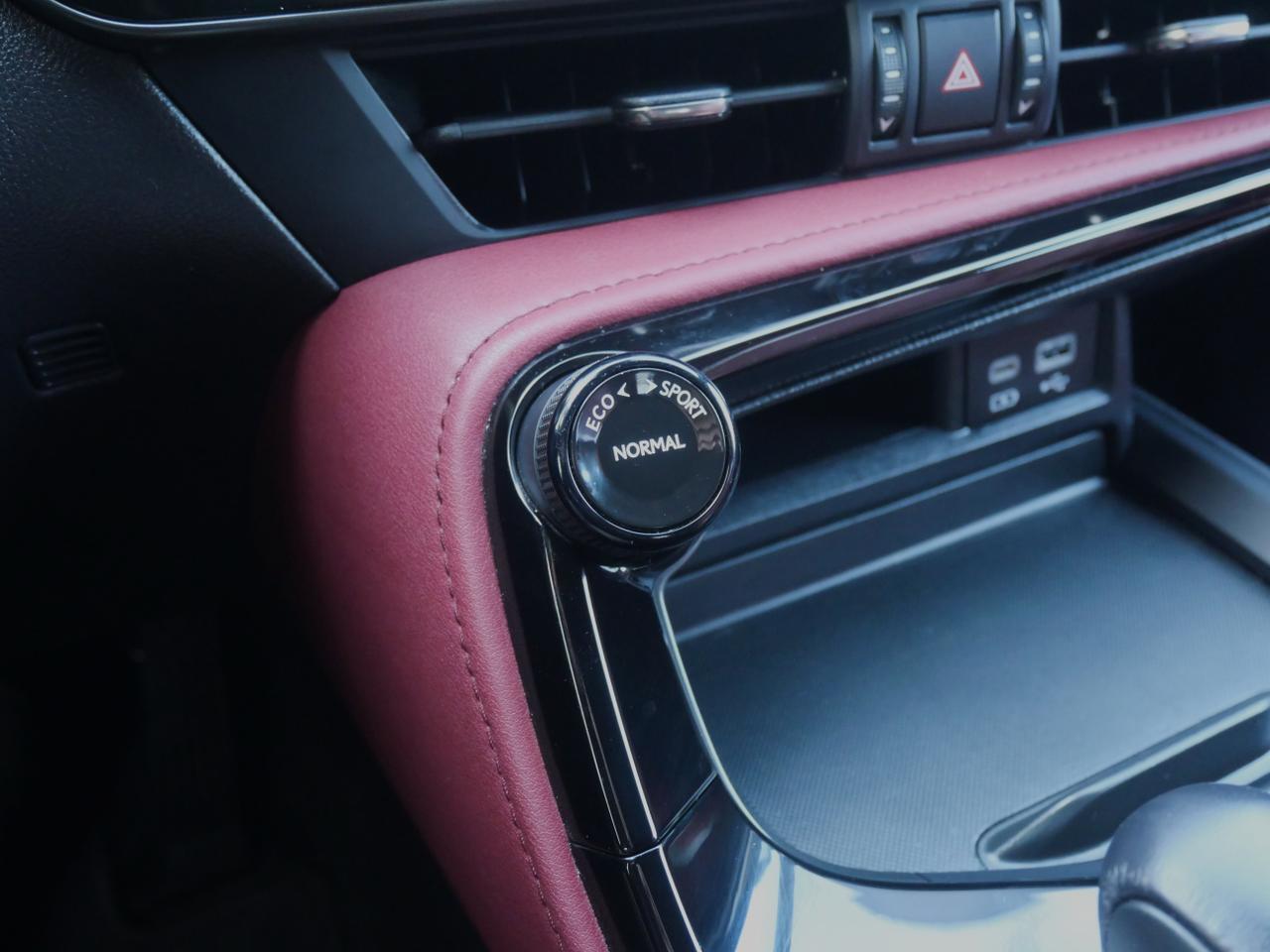 2023 Lexus NX 250 San Juan TX