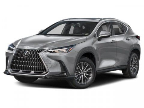 2023 Lexus NX 250 San Juan TX