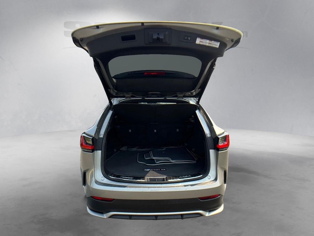 2023 Lexus NX 350 F SPORT Handling Chantilly VA
