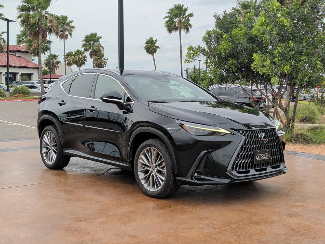 2023 Lexus NX 350 Luxury San Juan TX