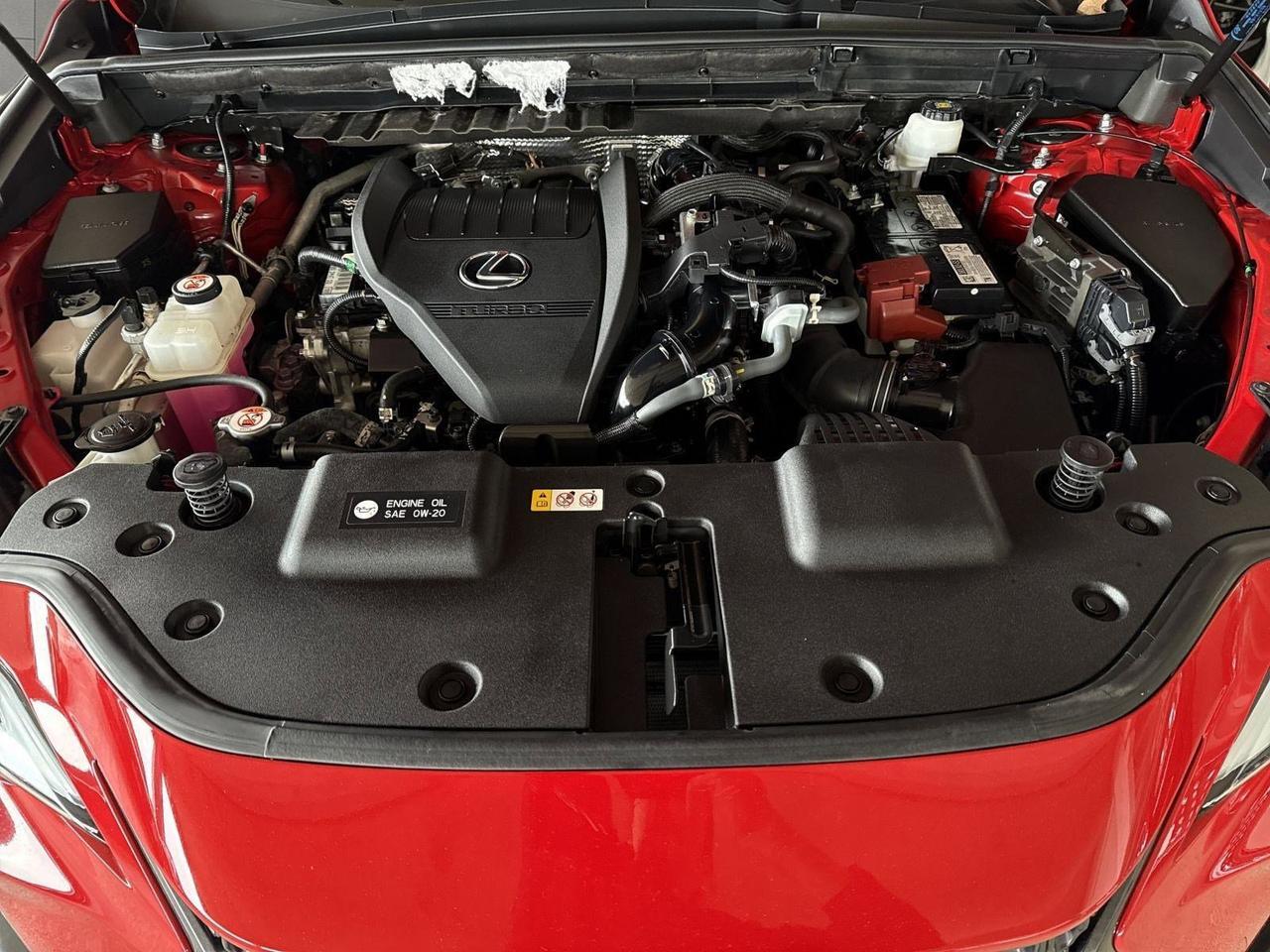 2023 Lexus NX 350 Luxury San Antonio TX