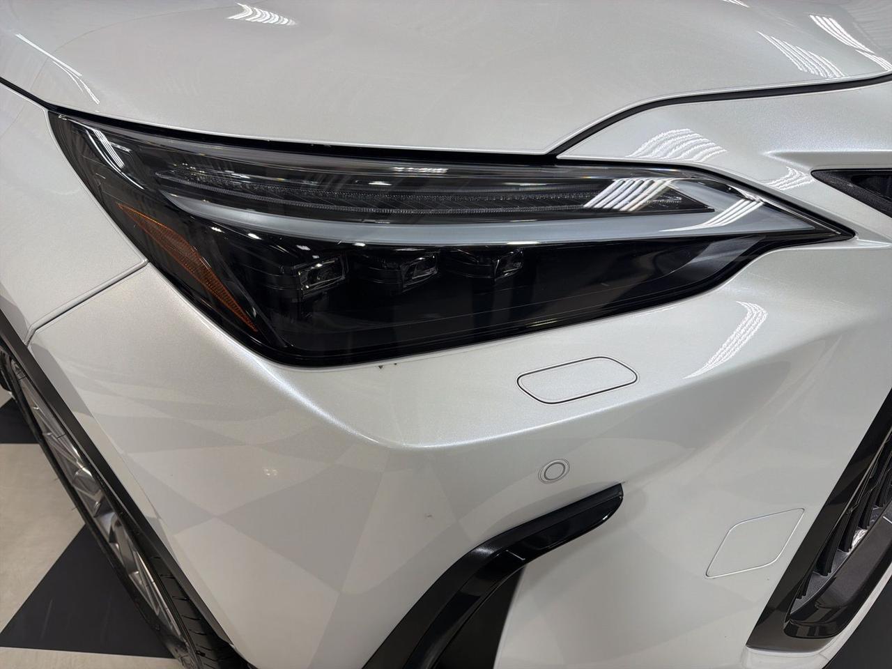 2023 Lexus NX 350 Luxury Annapolis MD