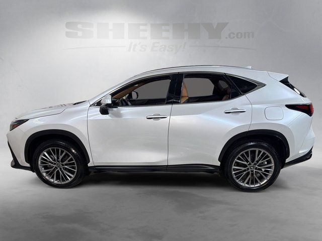 2023 Lexus NX 350 Luxury Annapolis MD