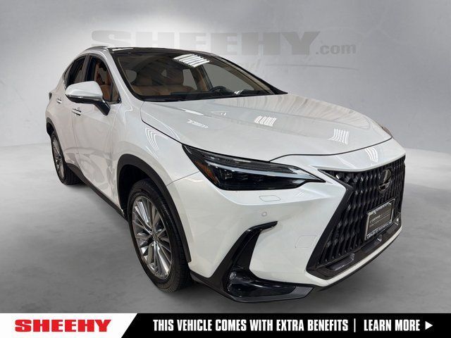 2023 Lexus NX